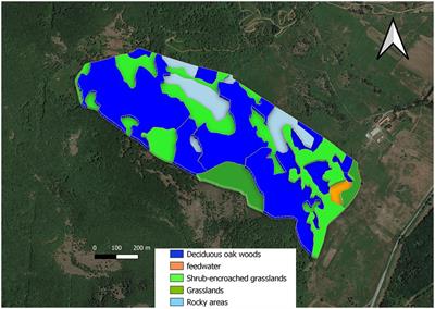 Resource selection by Sarda cattle in a Mediterranean silvopastoral system